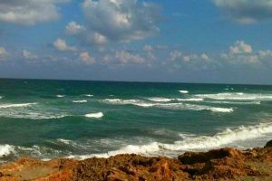 Florida Beach