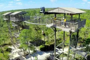Forever Florida Towers